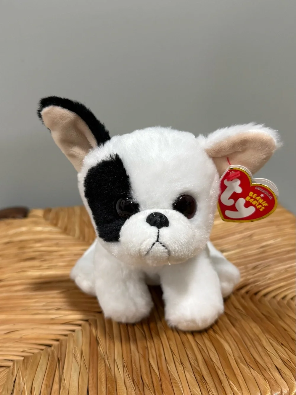 Ty Plush Small Pet Set - Teal, White, Black, Brown, Gold, Pink, Purple